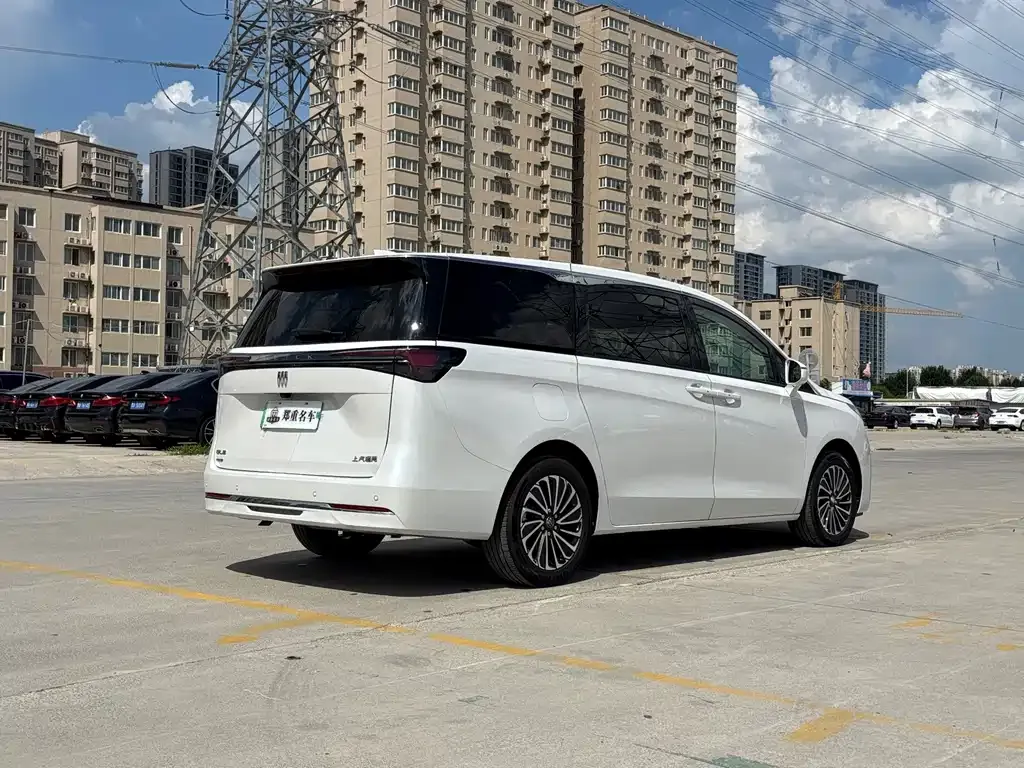 Buick GL8 Hybrid — фото 10