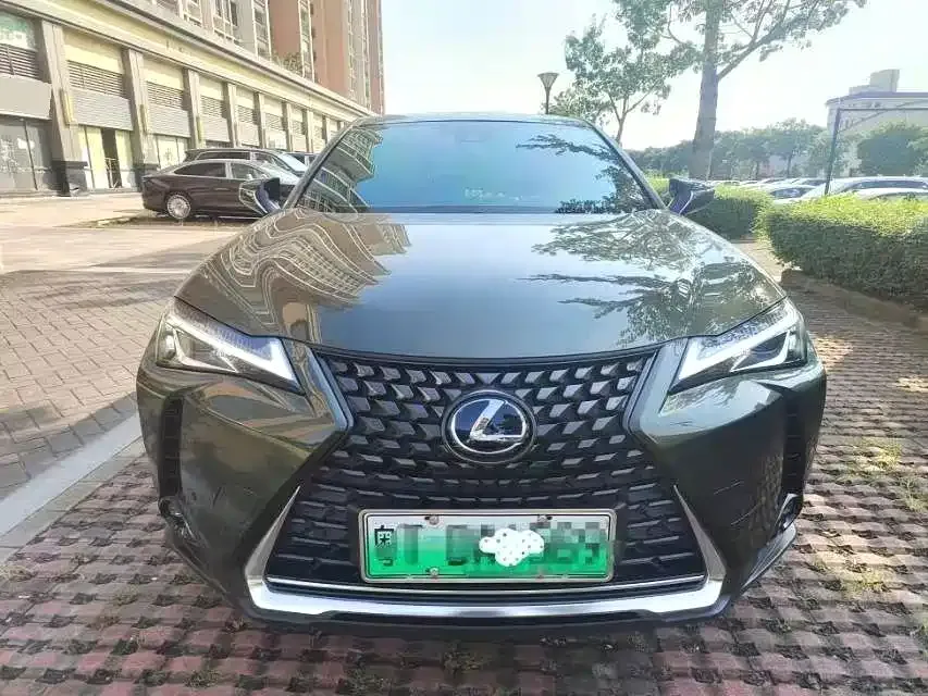 Lexus UX New Energy — фото 5