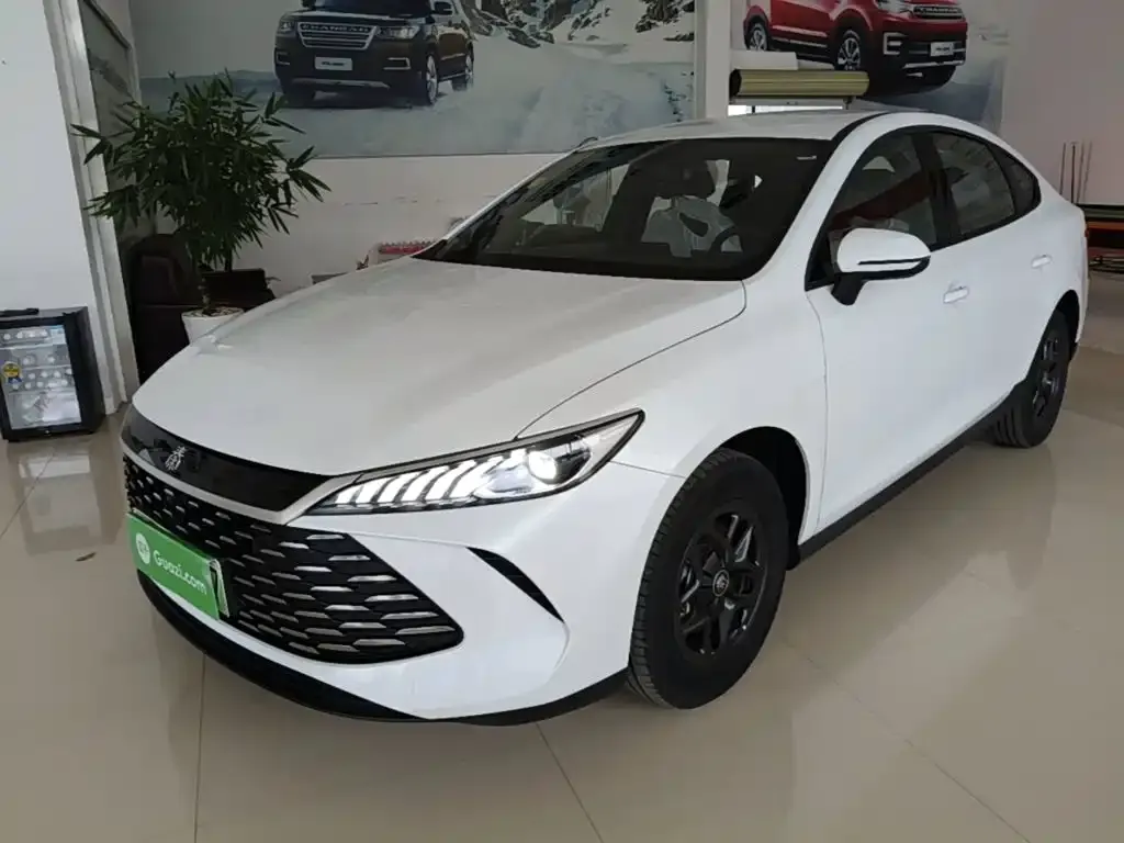 BYD Qin PLUS — фото 5