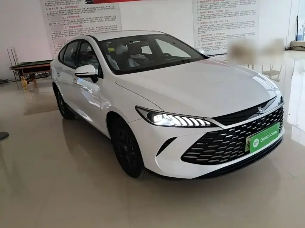 BYD Qin PLUS — фото 4