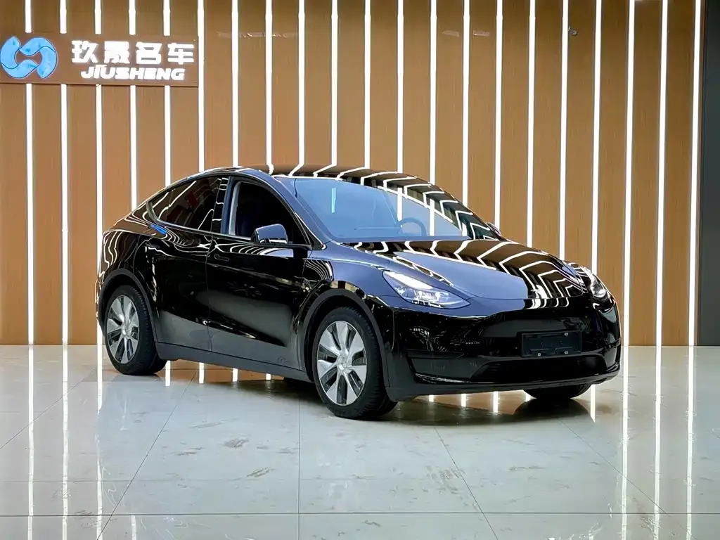 Tesla Model Y — фото 7
