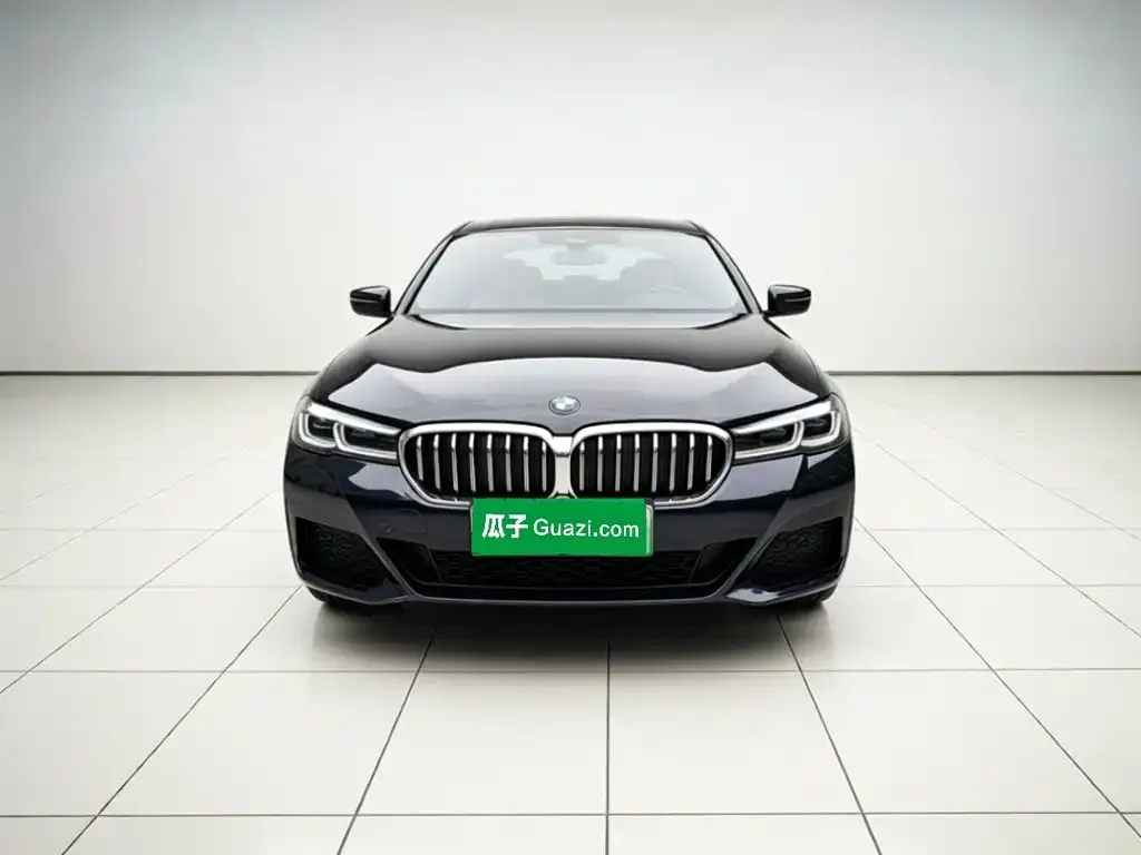 BMW 5 Series New Energy — фото 2