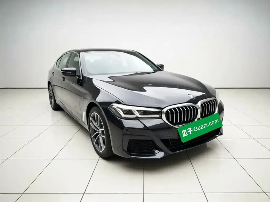 BMW 5 Series New Energy — фото 5