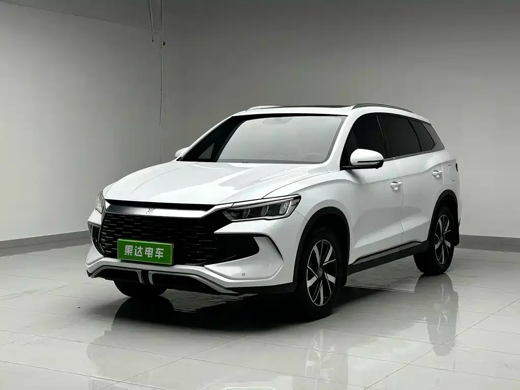 BYD Pro New Energy — фото 1