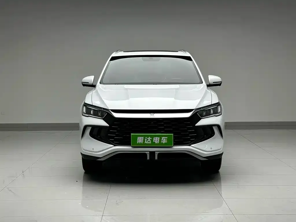 BYD Pro New Energy — фото 3