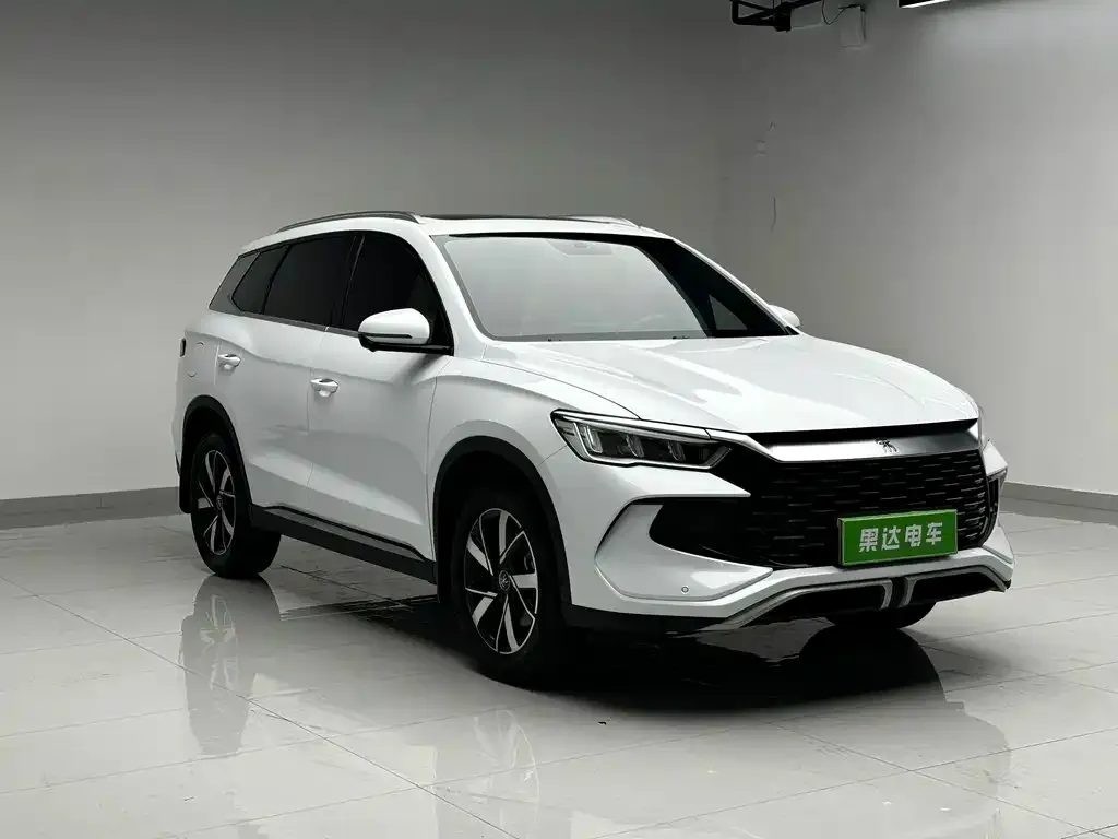 BYD Pro New Energy — фото 6
