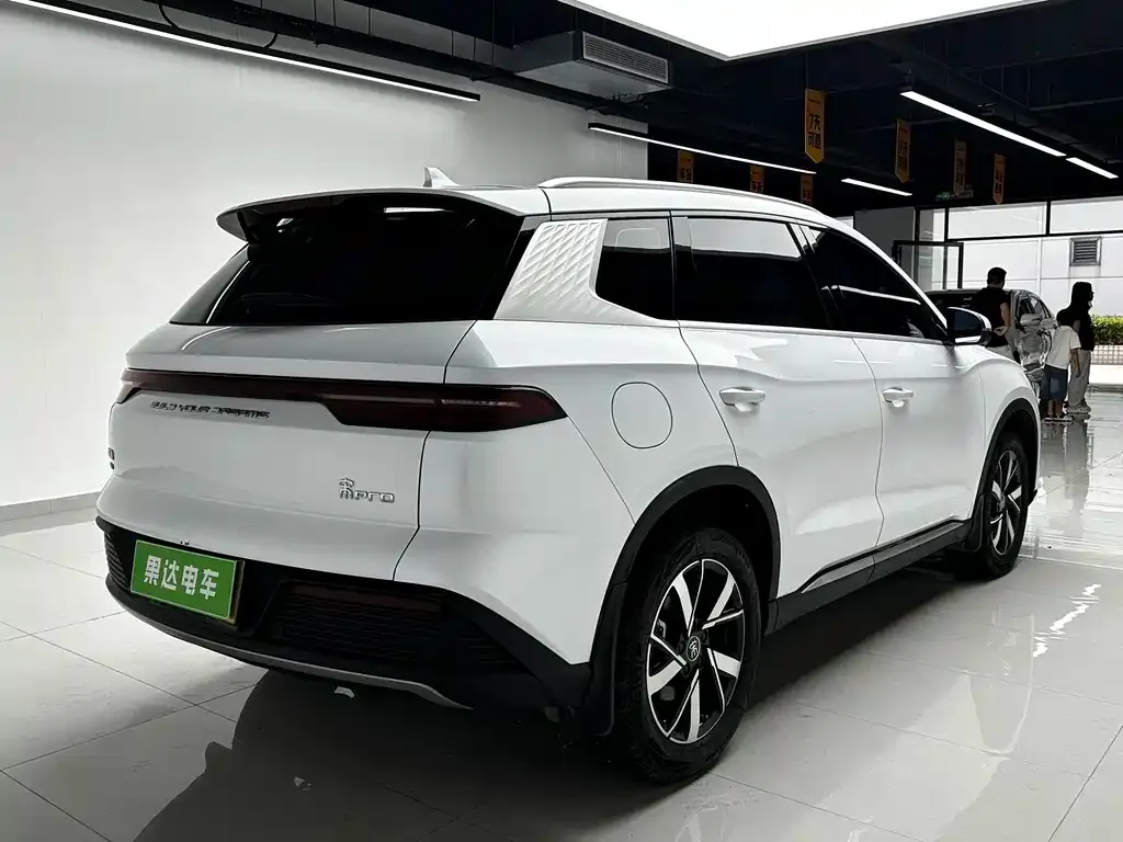 BYD Pro New Energy — фото 5