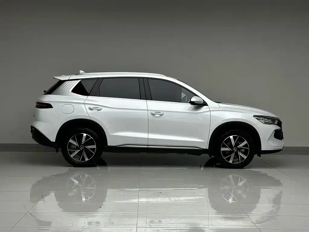 BYD Pro New Energy — фото 8
