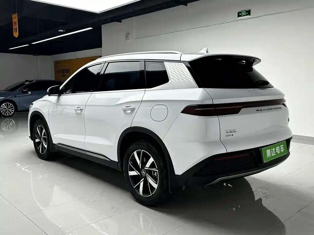 BYD Pro New Energy — фото 4