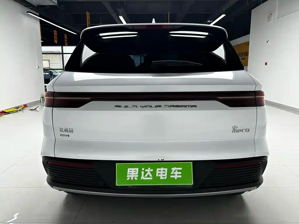 BYD Pro New Energy — фото 9