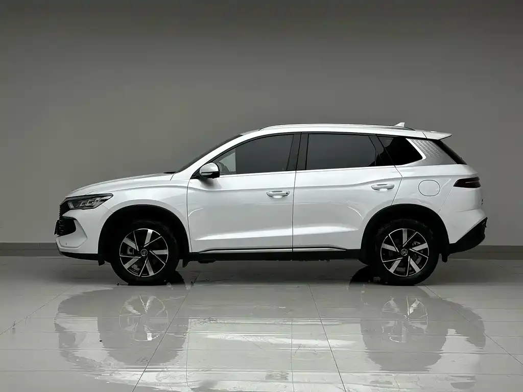 BYD Pro New Energy — фото 2