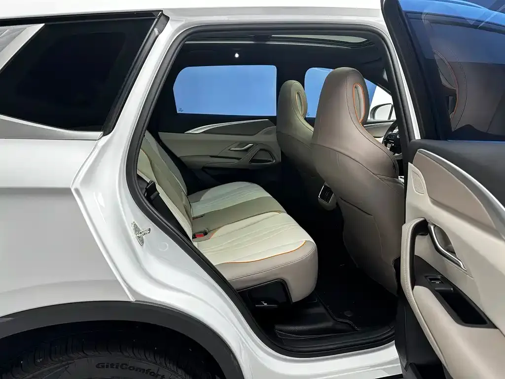 BYD Pro New Energy — фото 10