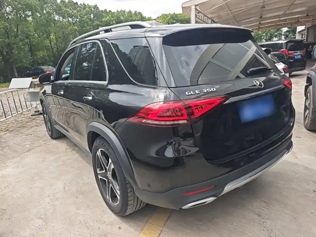 Mercedes-Benz 奔驰GLE(进口) — фото 6