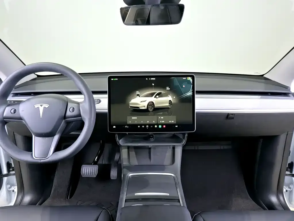 Tesla Model Y — фото 9