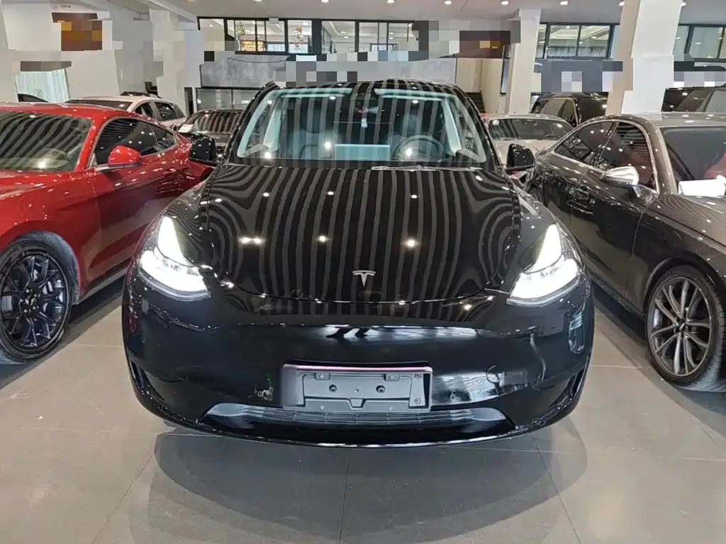 Tesla Model Y — фото 6
