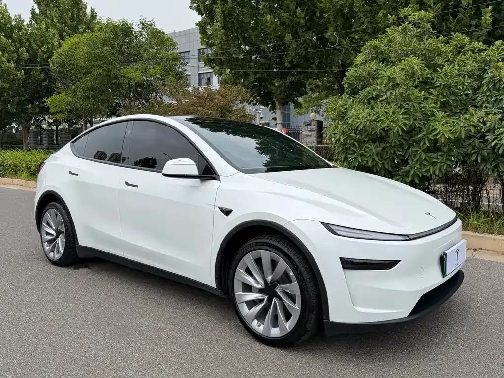 Tesla Model Y — фото 9