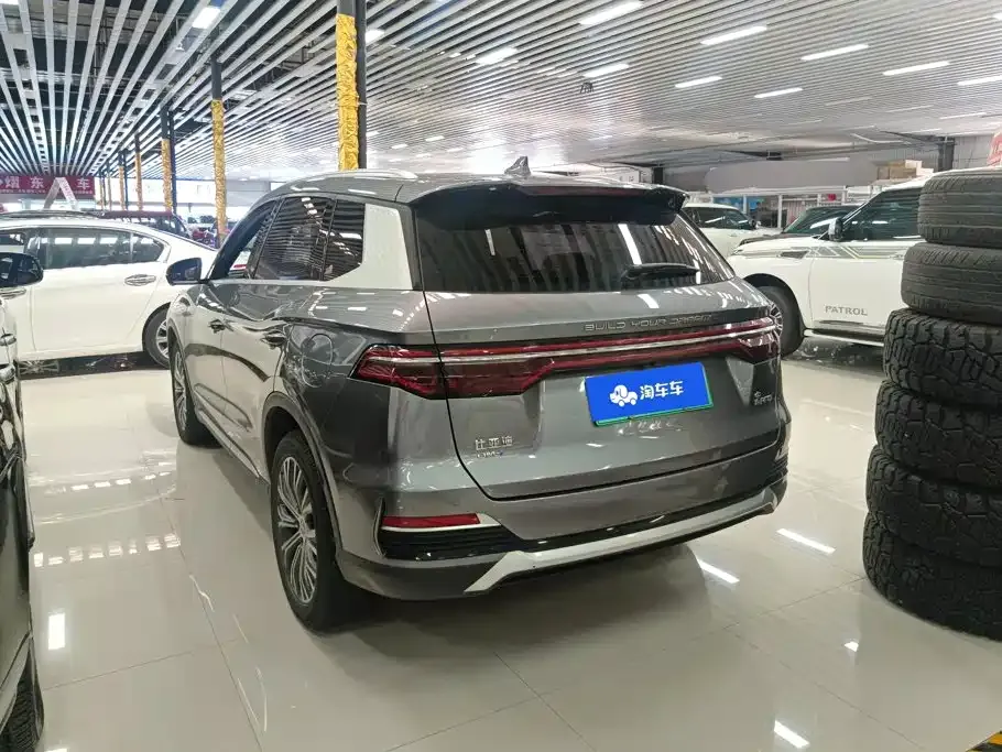 BYD Pro New Energy — фото 6