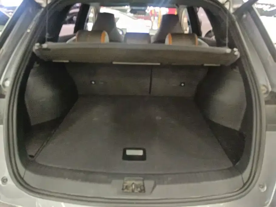 BYD Pro New Energy — фото 3