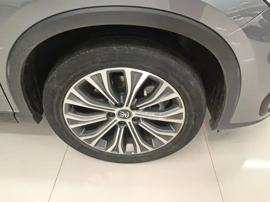 BYD Pro New Energy — фото 2