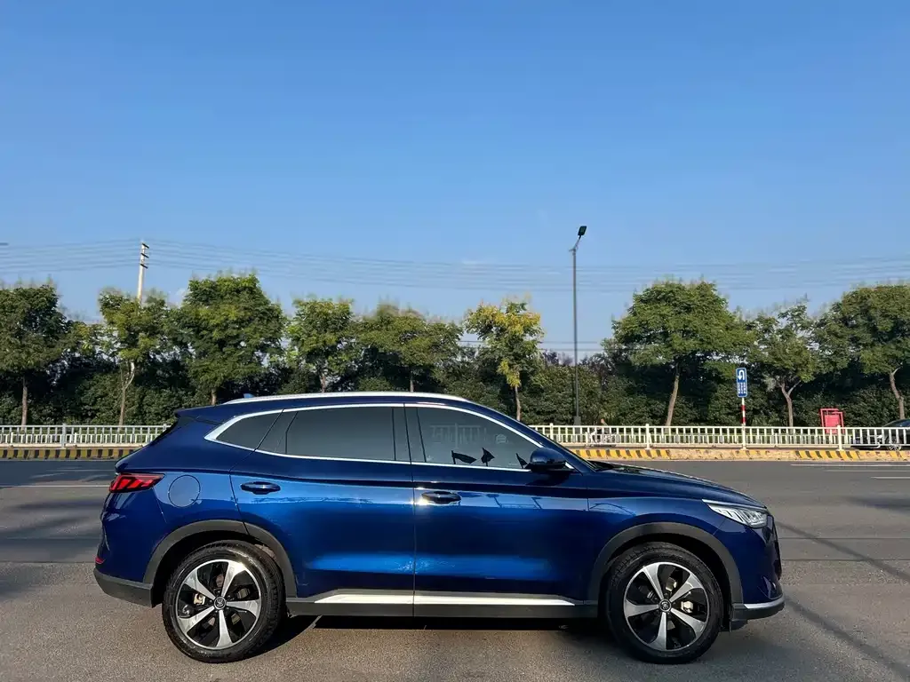BYD PLUS New Energy — фото 8