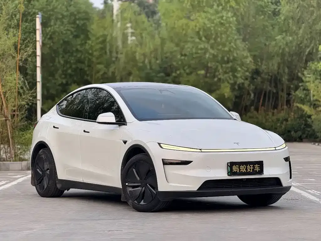 Tesla Model Y — фото 9