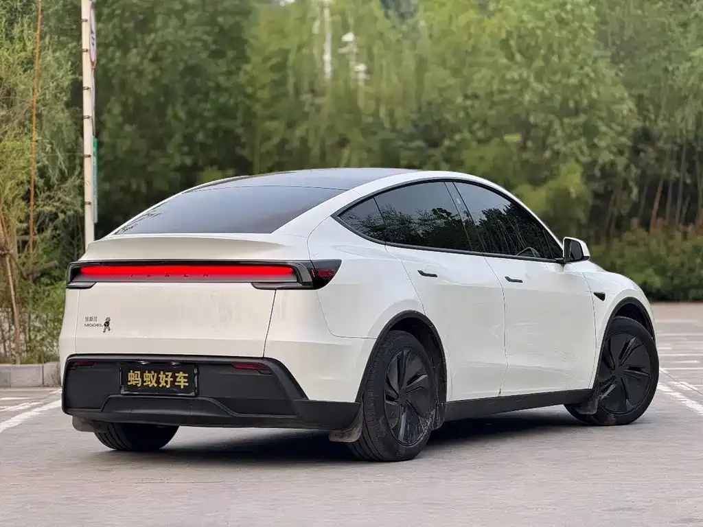 Tesla Model Y — фото 7