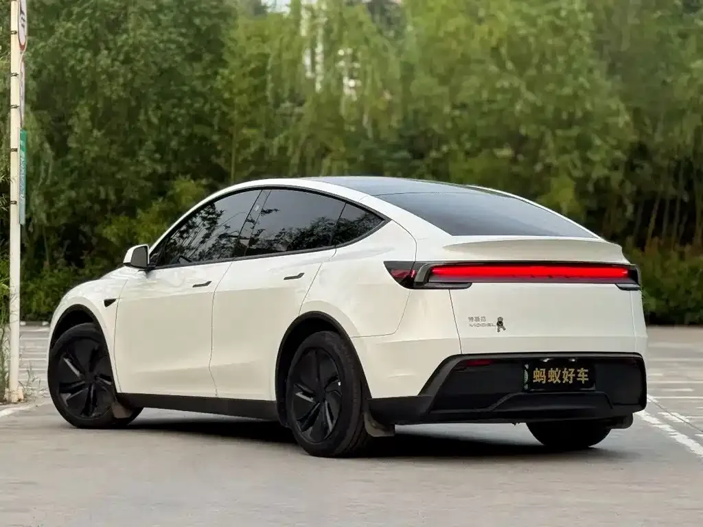 Tesla Model Y — фото 6