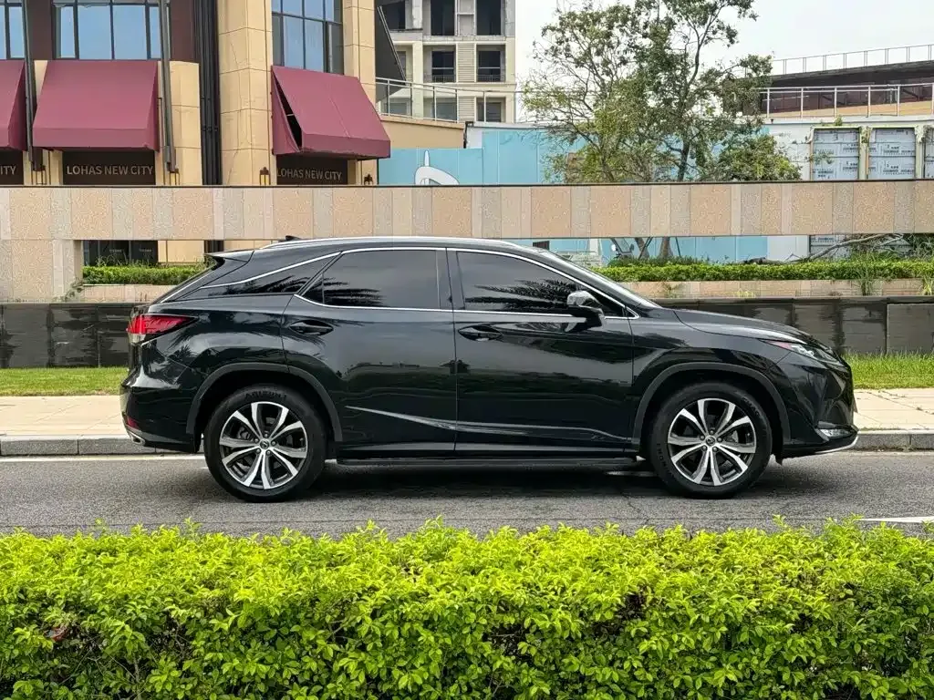 Lexus RX — фото 8