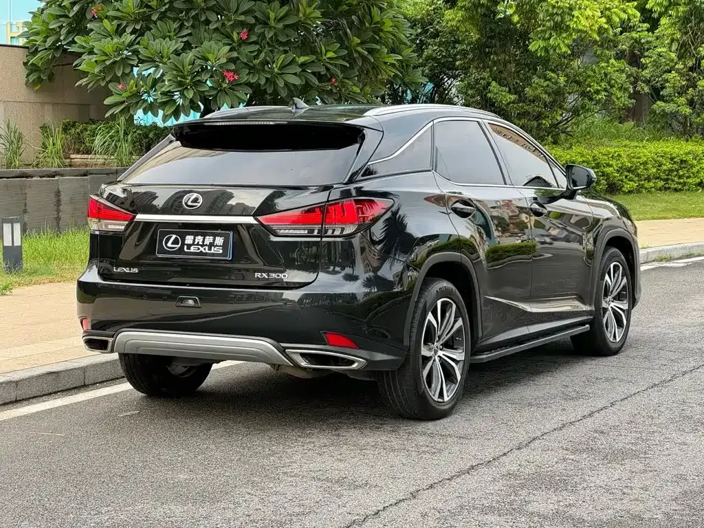 Lexus RX — фото 6