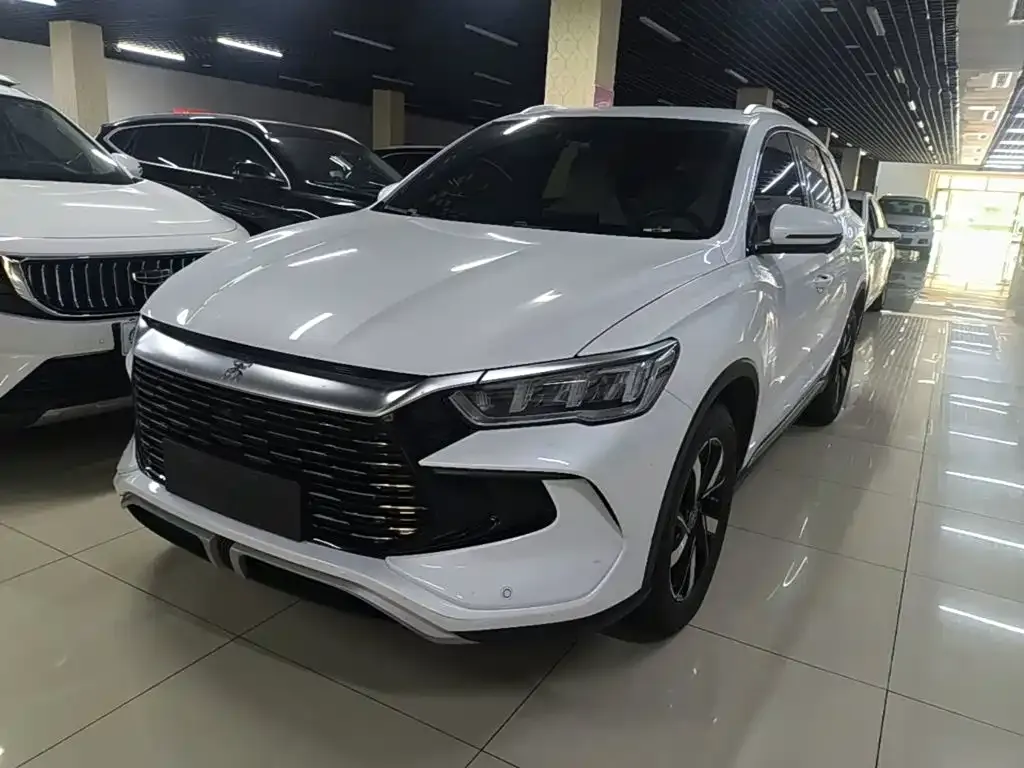 BYD Pro New Energy — фото 1