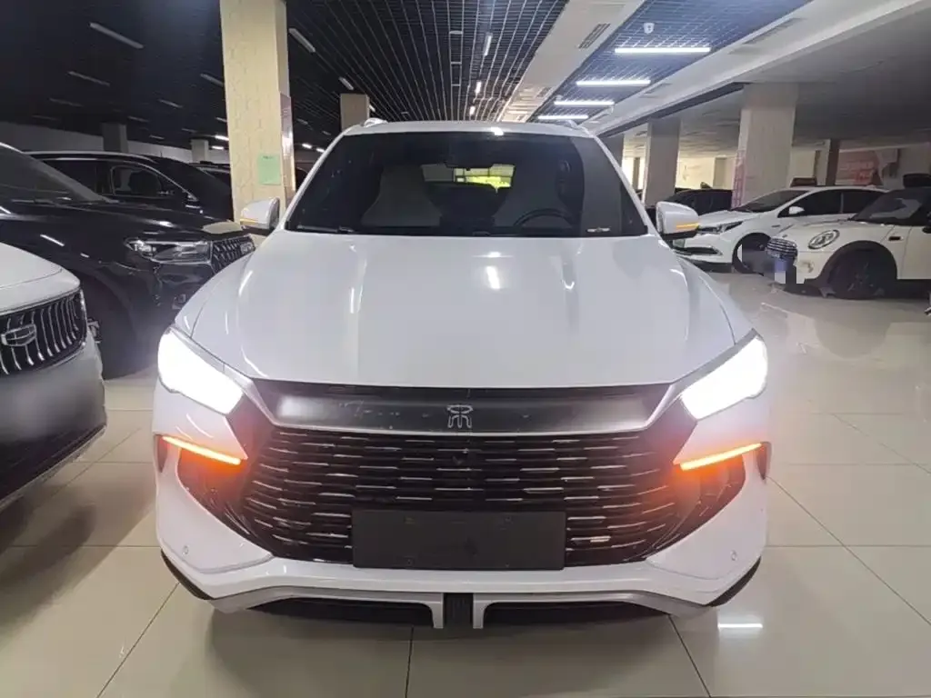 BYD Pro New Energy — фото 10