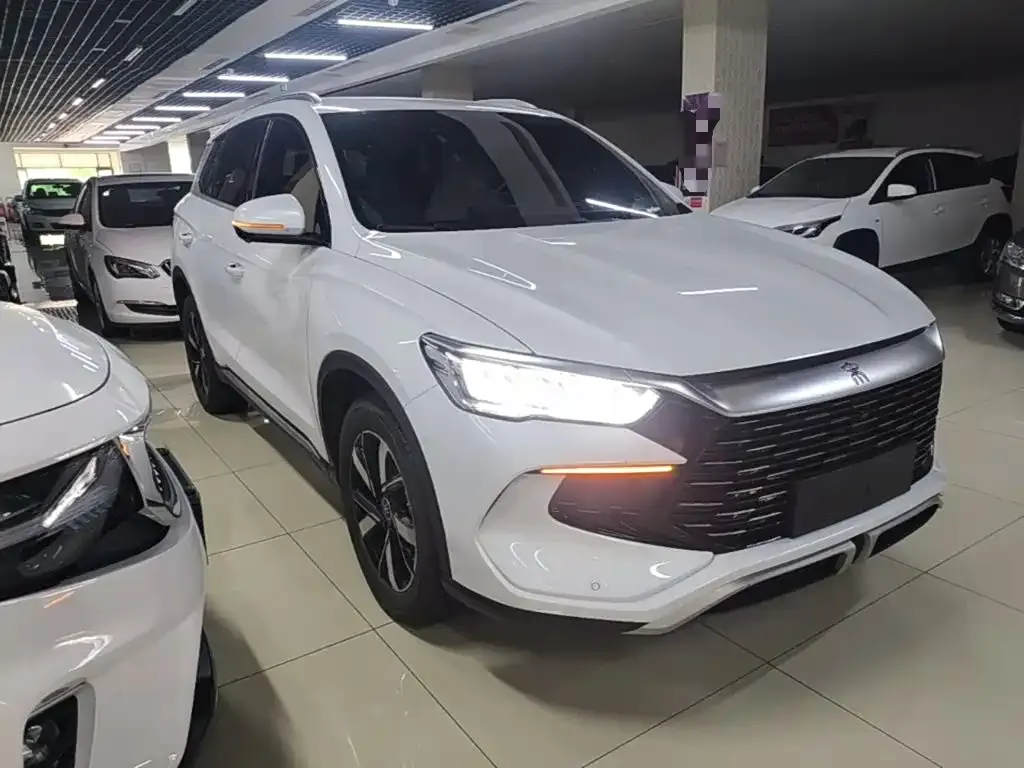 BYD Pro New Energy — фото 6