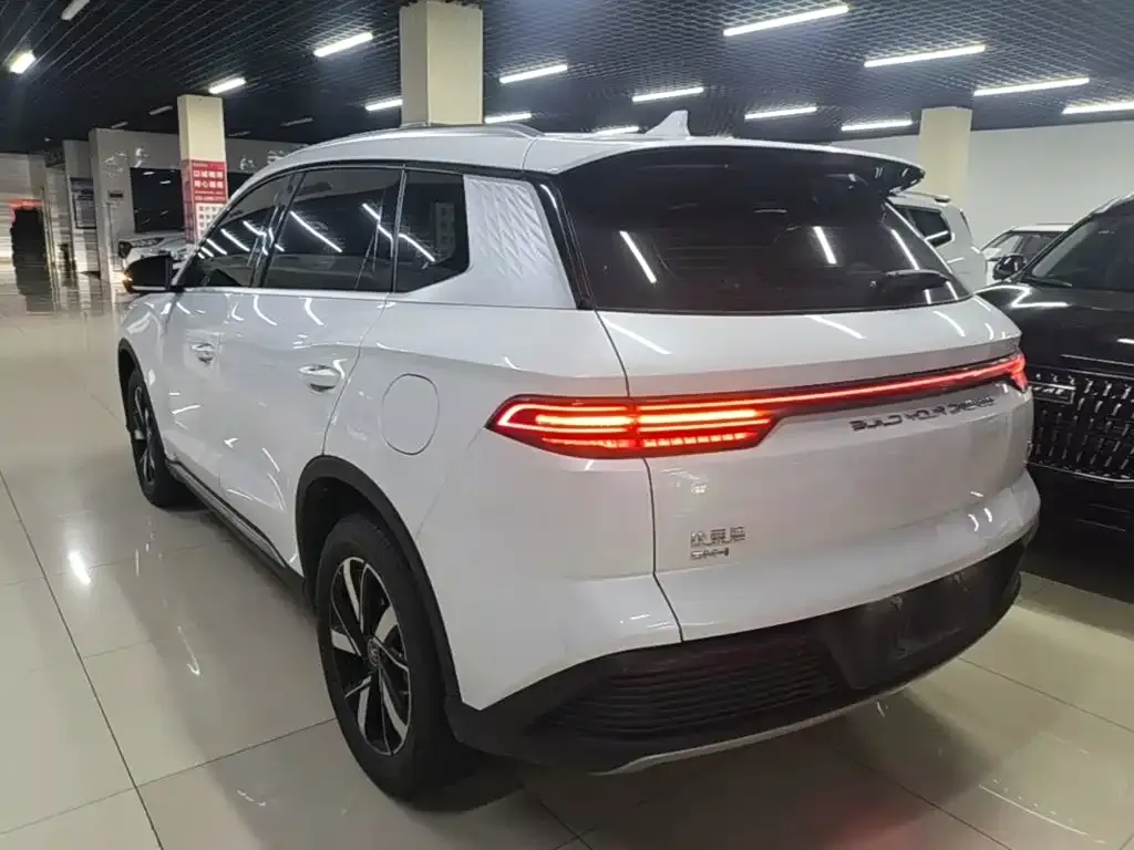 BYD Pro New Energy — фото 7