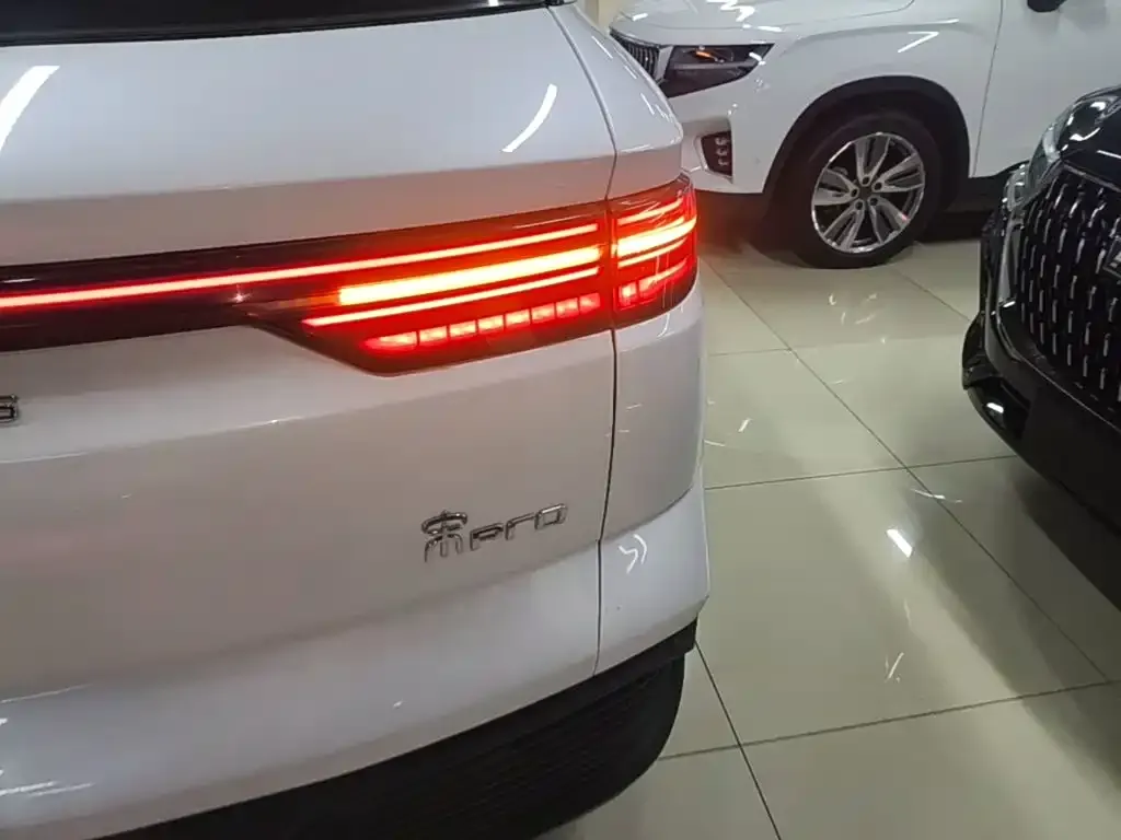 BYD Pro New Energy — фото 5