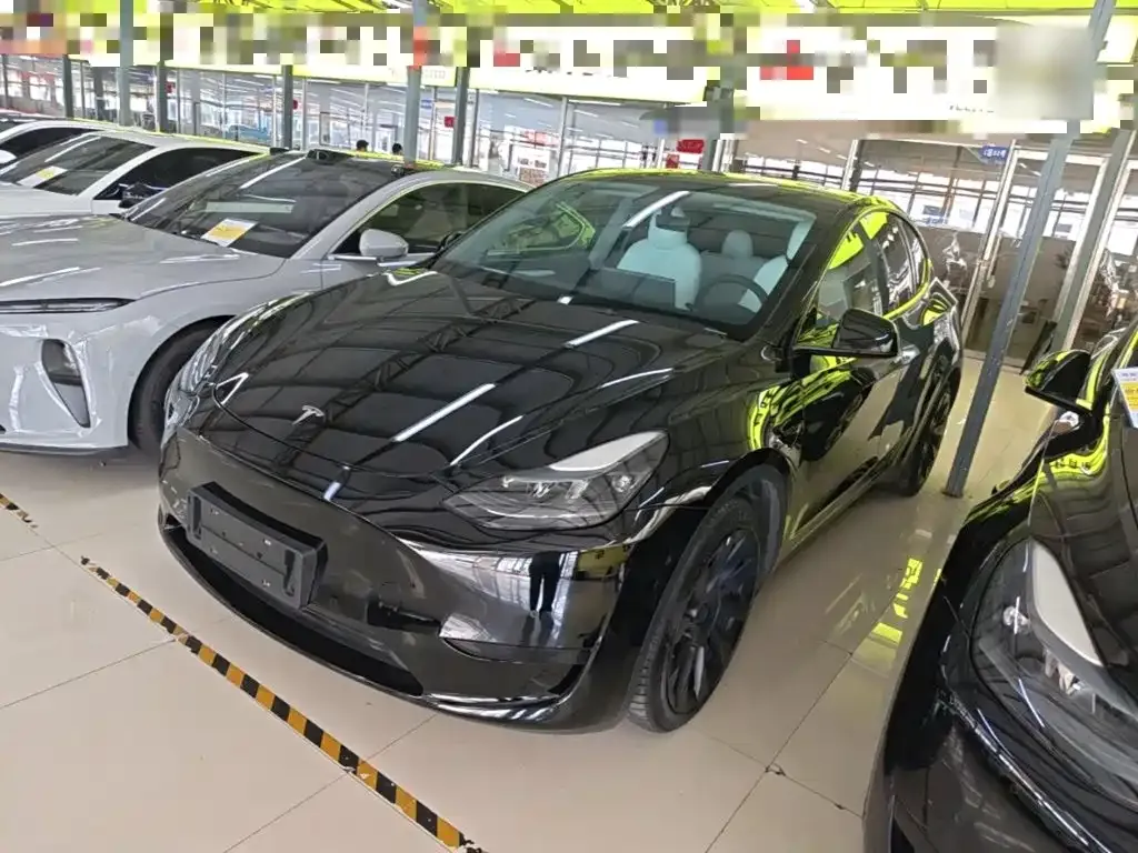 Tesla Model Y — фото 1