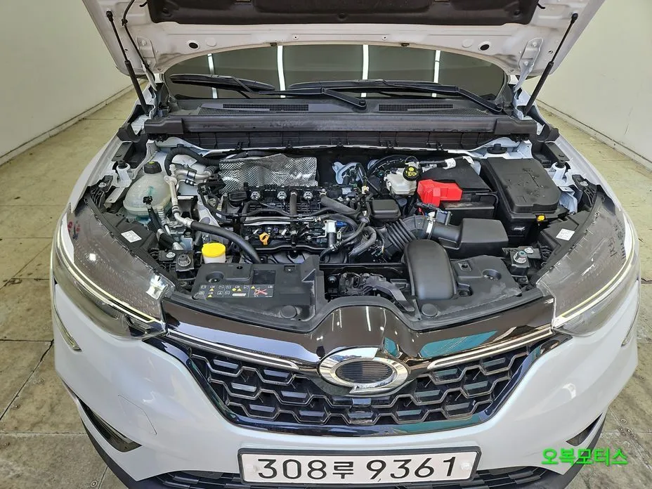 Renault Korea (Samsung) XM3 — фото 10