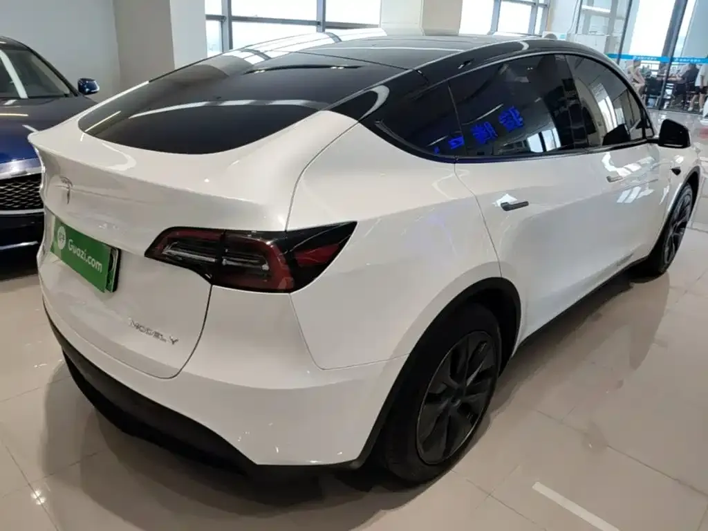 Tesla Model Y — фото 2