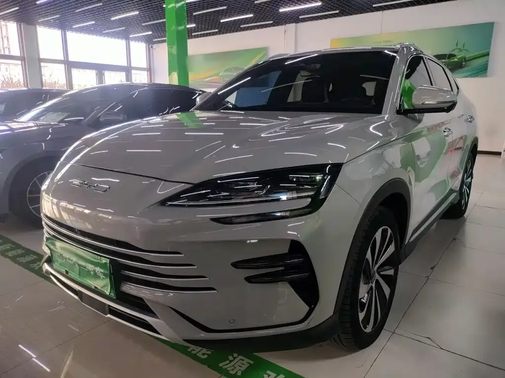 BYD PLUS New Energy — фото 1