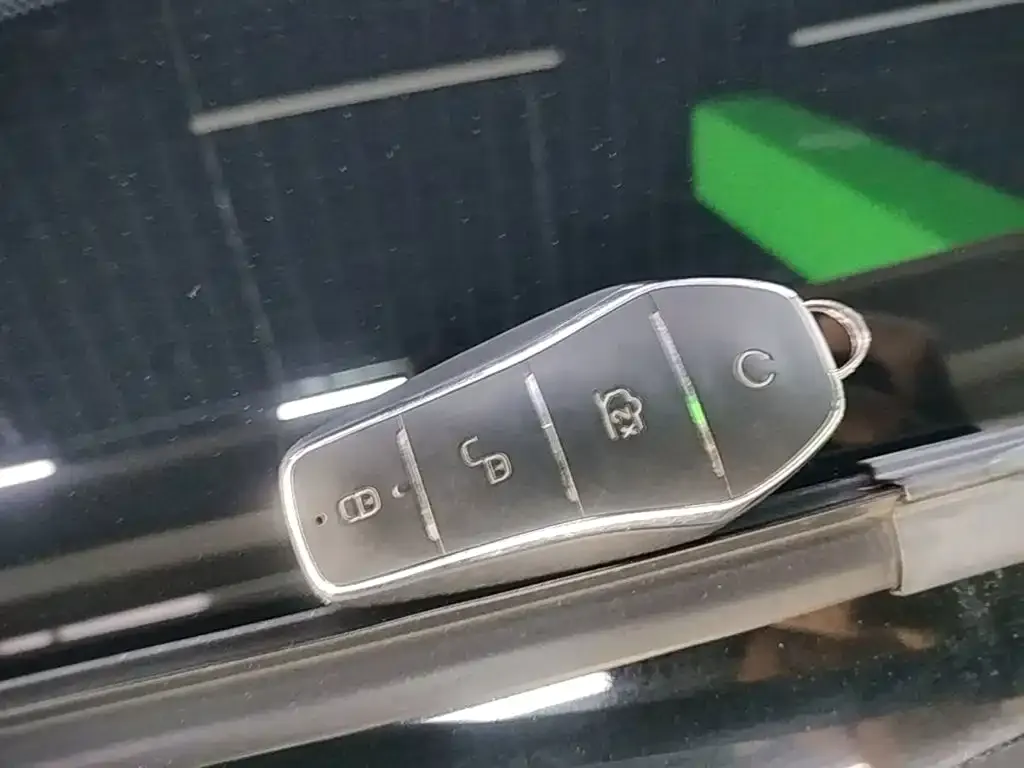 BYD PLUS New Energy — фото 10