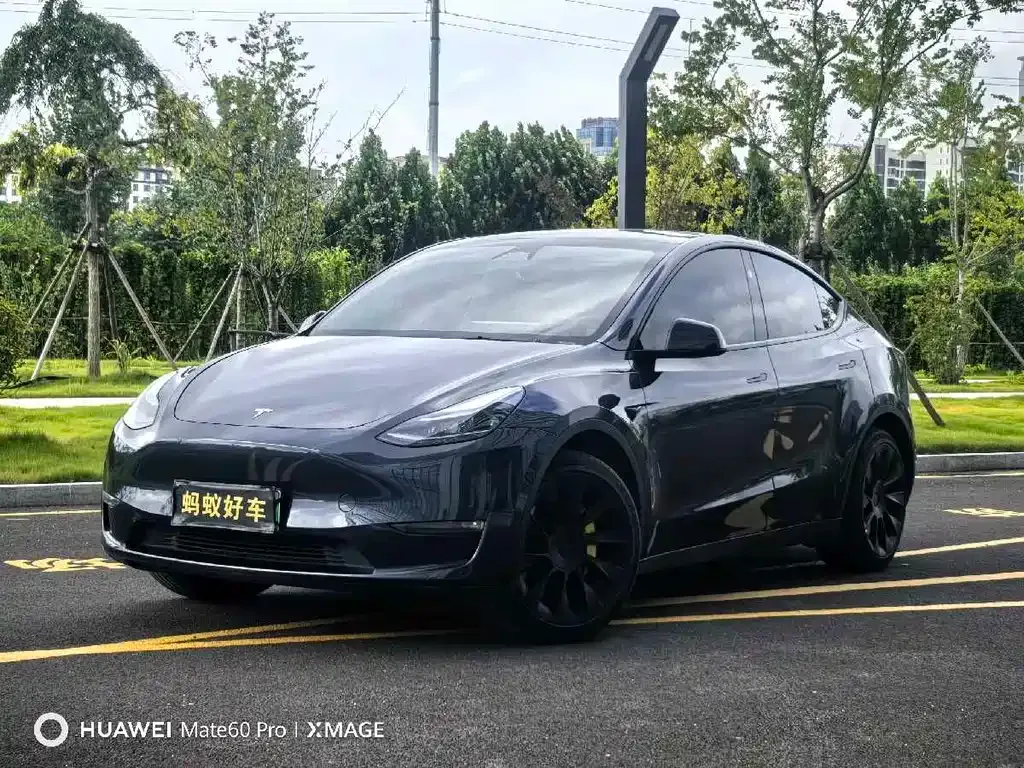 Tesla Model Y — фото 1