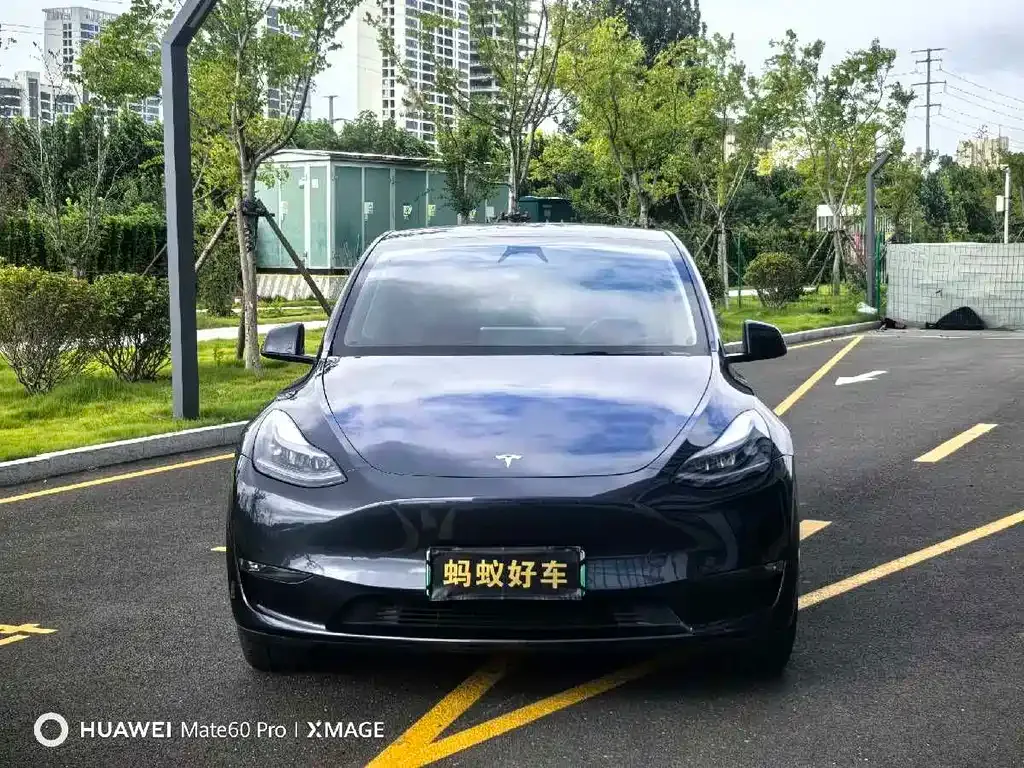 Tesla Model Y — фото 10