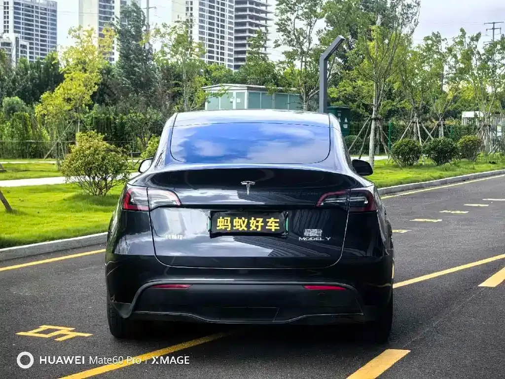 Tesla Model Y — фото 6