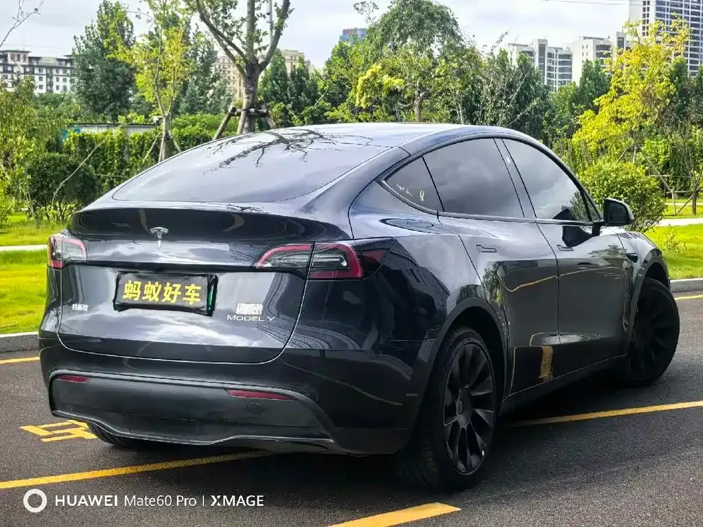 Tesla Model Y — фото 5