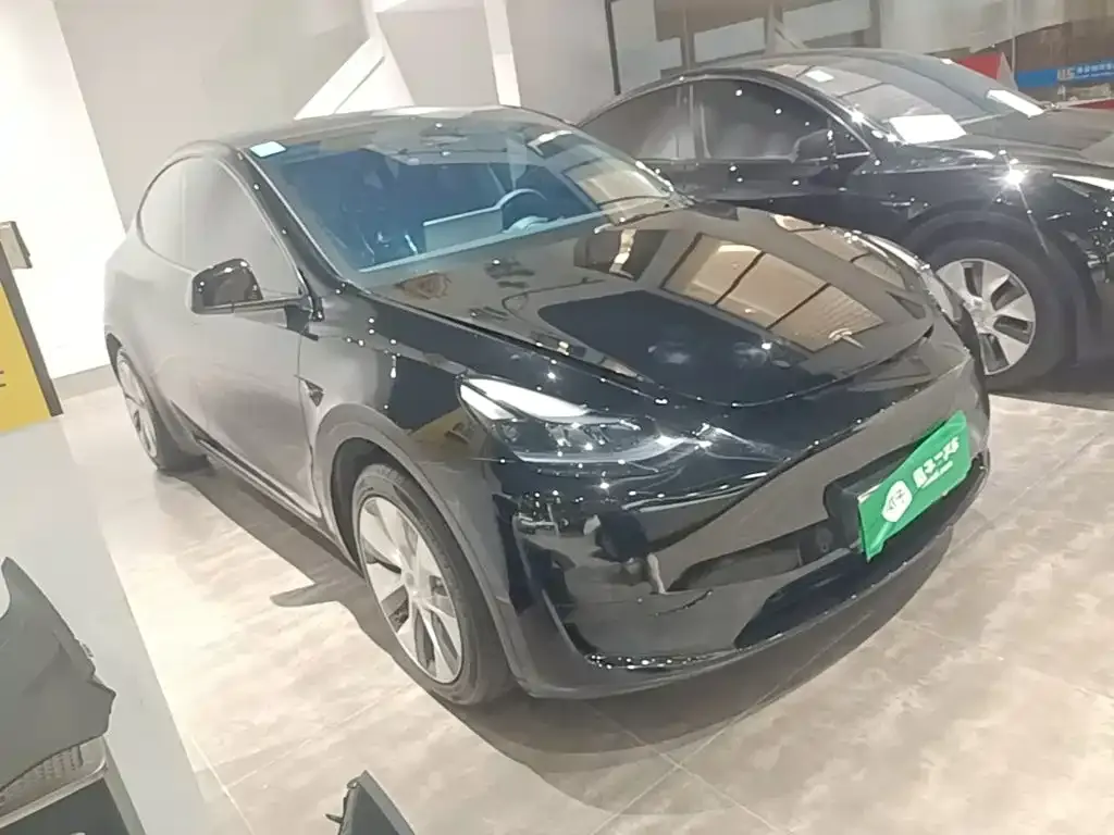 Tesla Model Y — фото 5