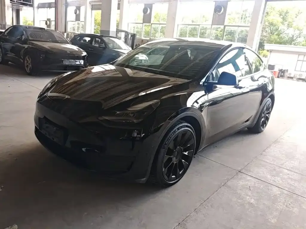 Tesla Model Y — фото 8