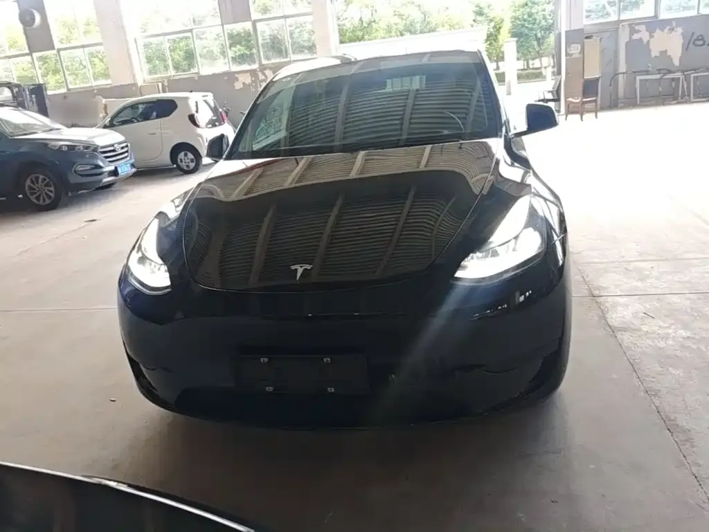 Tesla Model Y — фото 10