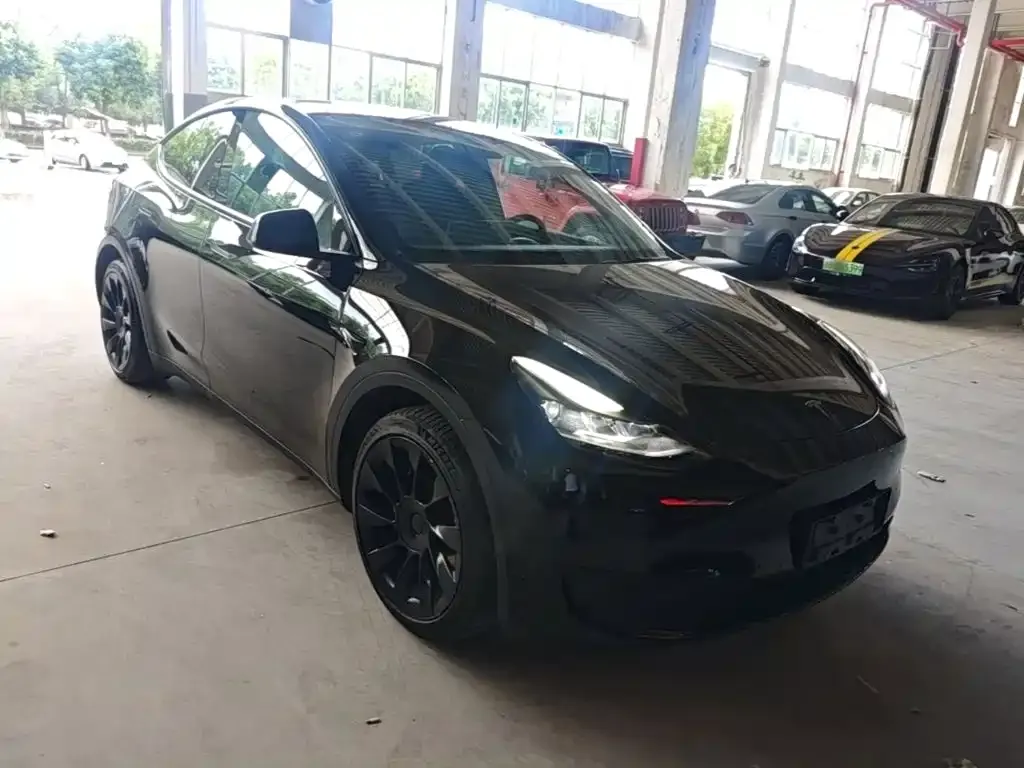 Tesla Model Y — фото 9