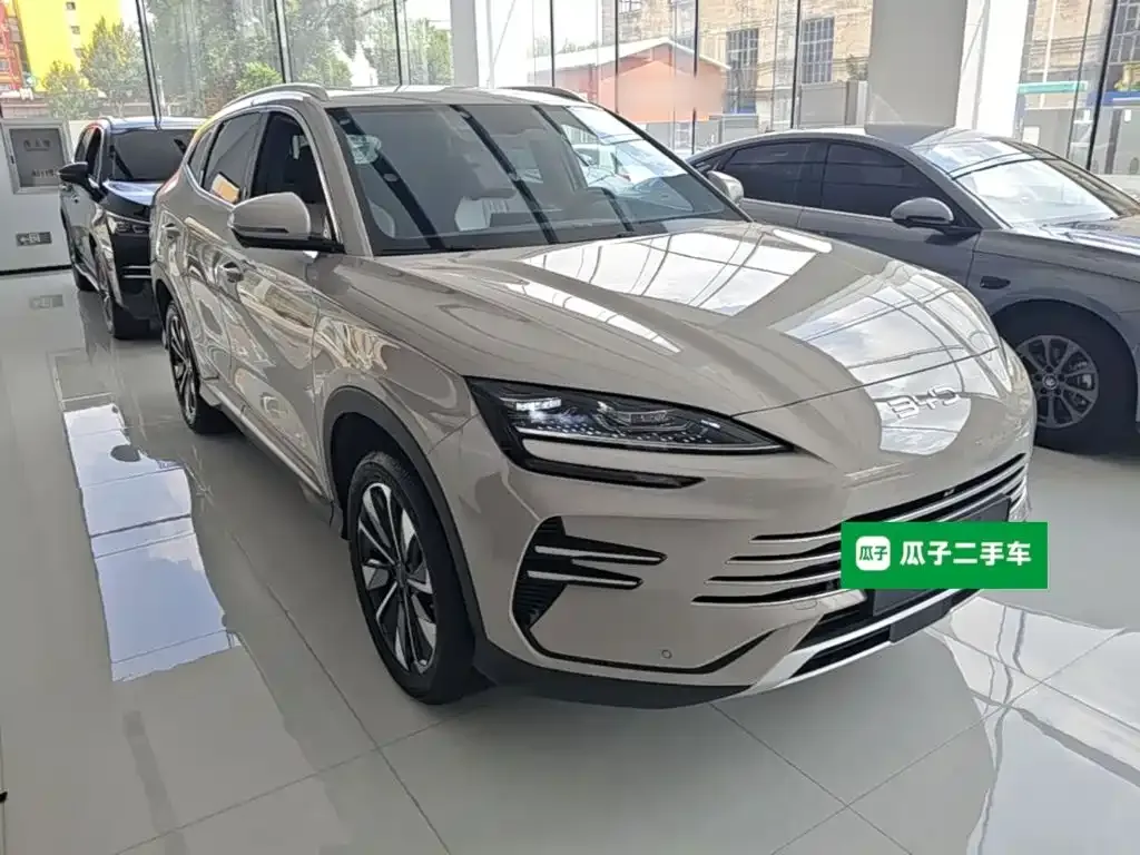 BYD PLUS New Energy — фото 3