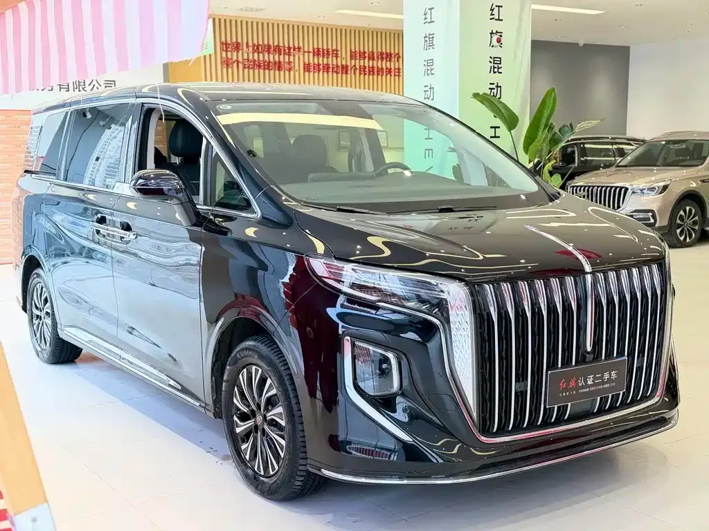 Hongqi HQ9 PHEV — фото 8