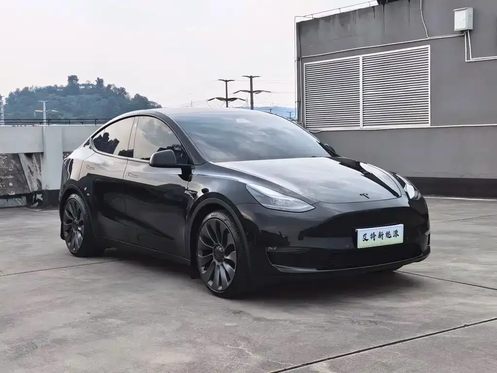 Tesla Model Y — фото 2